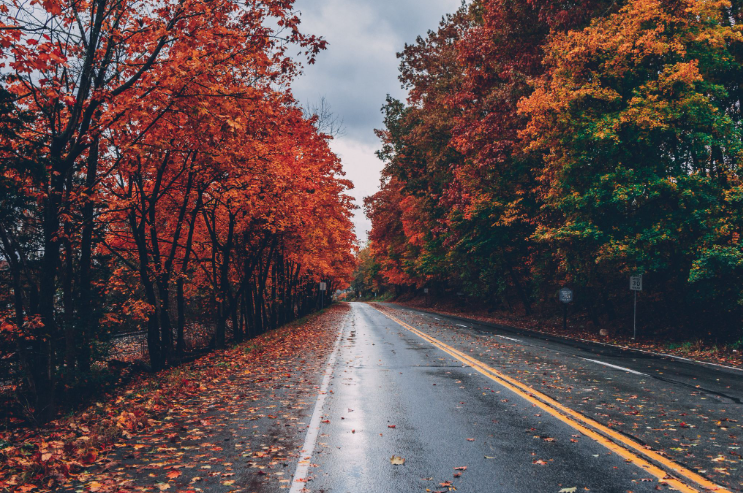 Fall Financial Checklist: 8 Moves to Make Before the Holidays